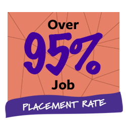 Over 95% Job Placement Rate